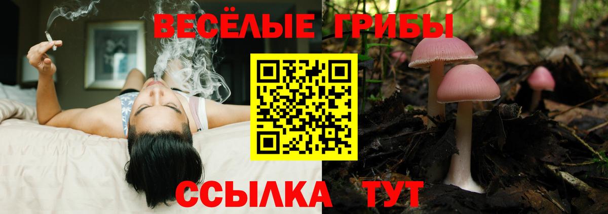 Псилоцибиновые грибы GOLDEN TEACHER Семилуки
